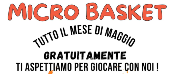 Microbasket
